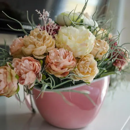 森特鲁公寓 * 扎达尔